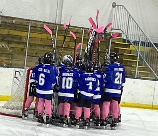 Marysville hockey teams up with local nonprofit for 'Pink the Rink